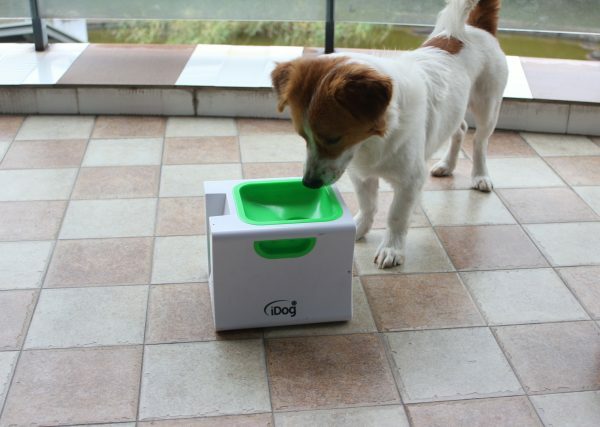 iDog Mini Automatic Ball Launcher