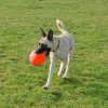 Jolly Ball Bounce-n Play 15cm Oranje (Vanillegeur)