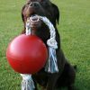 Jolly Ball Romp-n-Roll 10 cm Rood