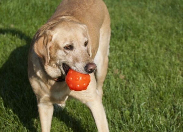 Jolly Jumper Ball 7,5 cm Oranje