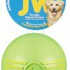 JW Isqueak Ball L 10 cm