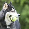 KONG Air Squeaker Tennis Ball S 5 cm 3 pcs.