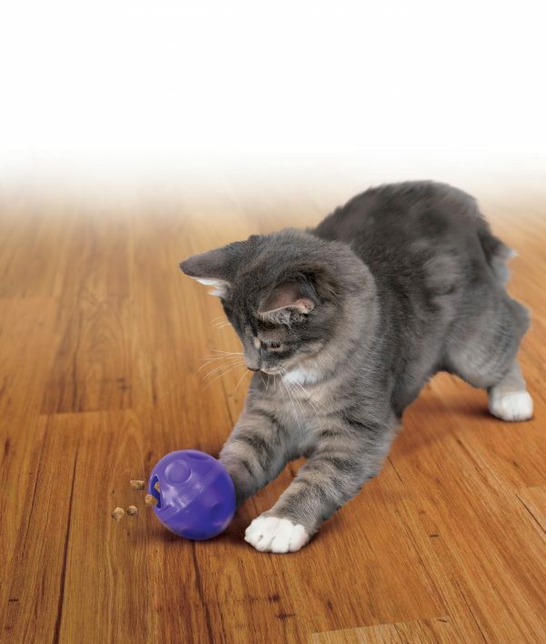 KONG Cat Treat Ball