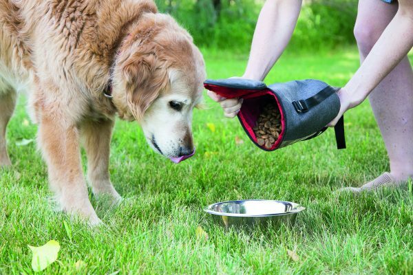 KONG Kibble Storage Bag