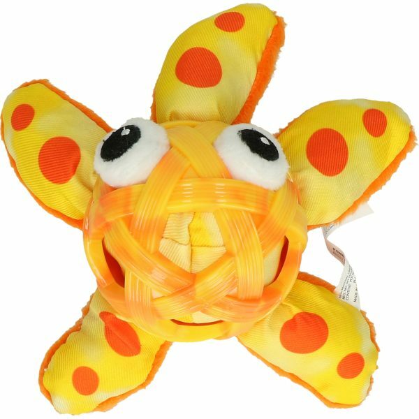 KONG Sea Shells Seahorse Small/Medium