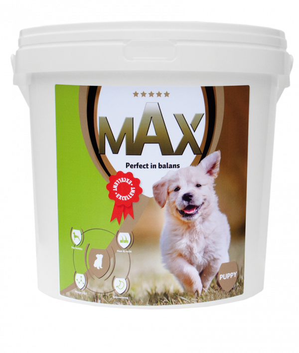 Max Puppy