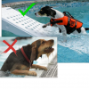 Petmate Skamper Loopplank Regular