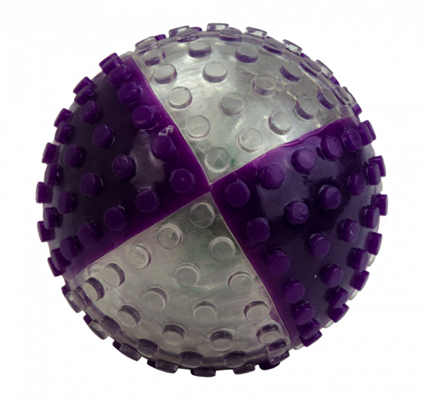 VisionSmart Visi-Ball transparant/paars