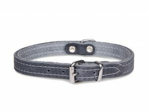 Halsband geolied leder grijs 37cmx14mm S