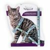Harnas+Leiband Kitty Cat blauw 15-22/30-32cm+120cm