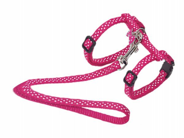 Harnas+Leiband Stippen fuchsia 15-22/30-32cm+120cm