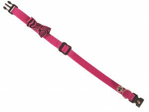 Halsband kat Loop hotpink 20-30cmx10mm