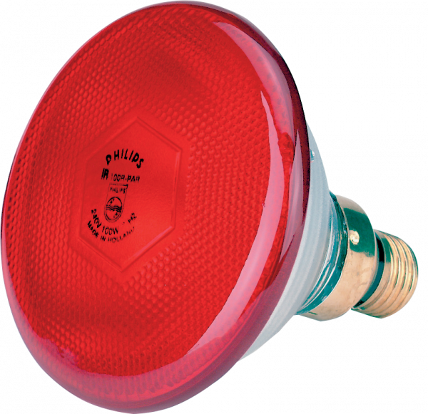 Lamp 175 W rood Philips spaar