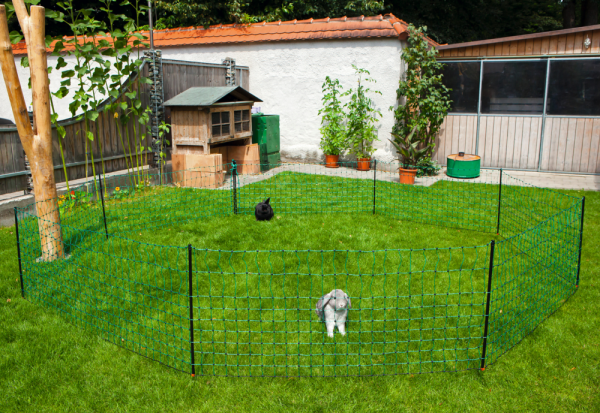 Net afrast konijn 65 cm, enkelpunt 12 m.