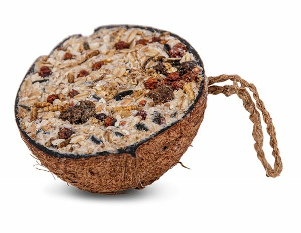 Emma Halve Kokosnoot Granola 200g (display)