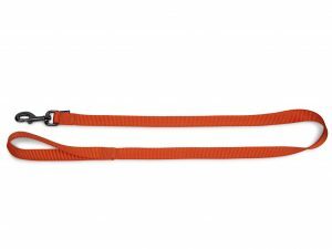 Leiband Classic Nylon oranje 120cmx25mm XL