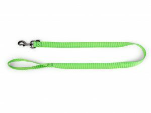 Leiband Classic Nylon groen 120cmx20mm L