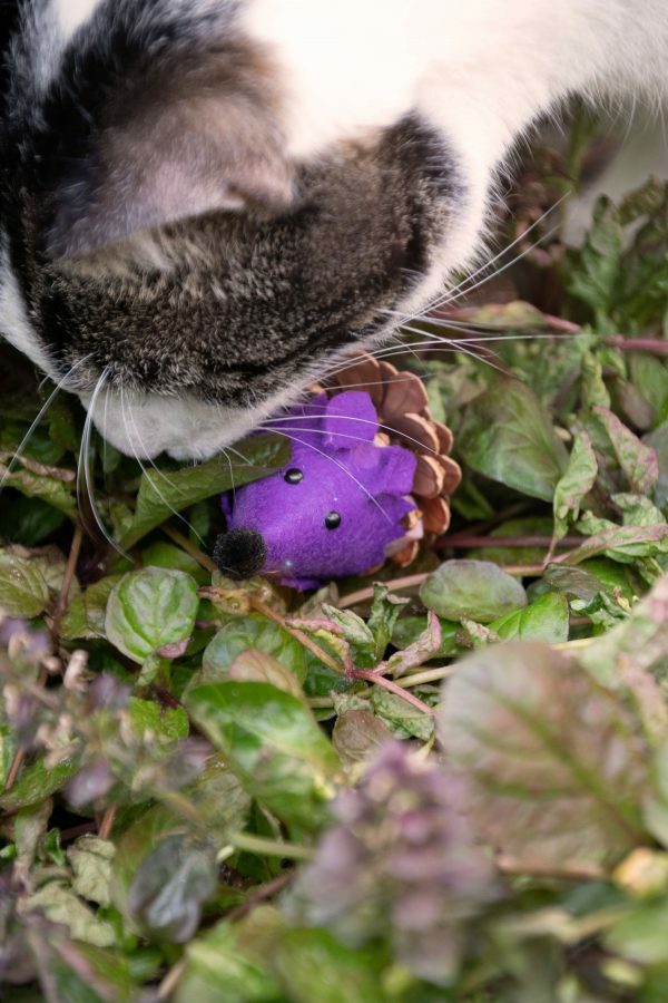 Forest Friends Mouse Purple