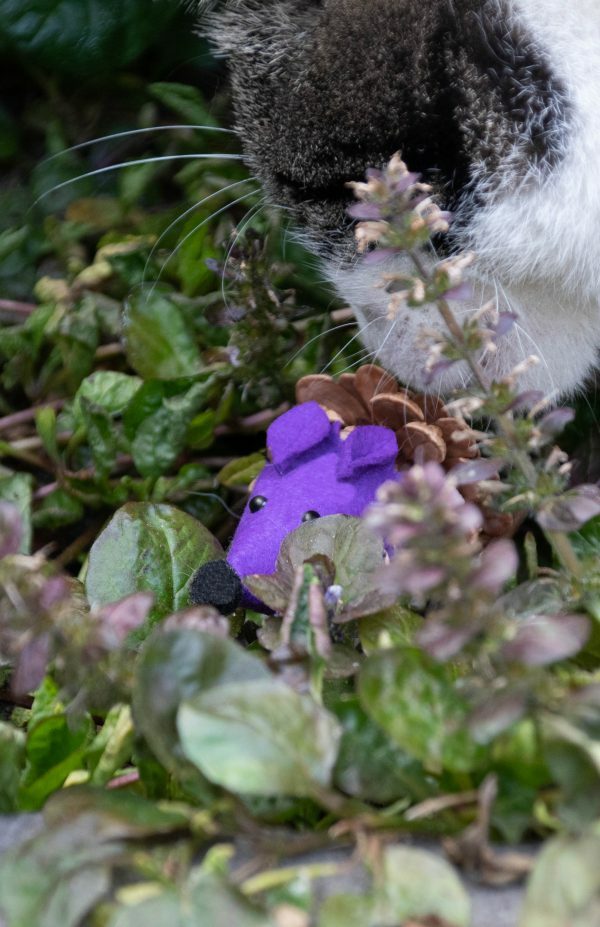 Forest Friends Mouse Purple