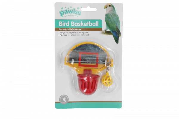 Bird Scoot the ball