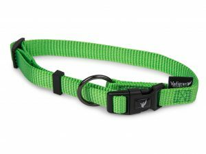 Halsband Classic Nylon groen 20-35cmx10mm S