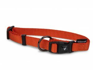 Halsband Classic Nylon oranje 14-21cmx10mm XS