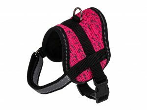 Borsttuigje hond Sporty 46cm M