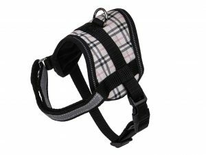 Borsttuigje hond Schot beige 40cm S