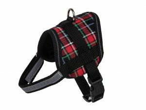 Borsttuigje hond Schot rood 35cm XS