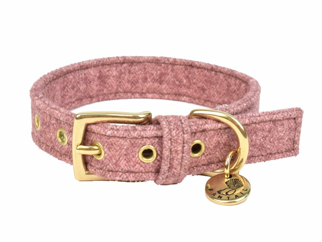Collier chien 35 cm avec swarovski Huisdieren Honden Halsbanden & riemen Halsbanden Bobby Halsbanden