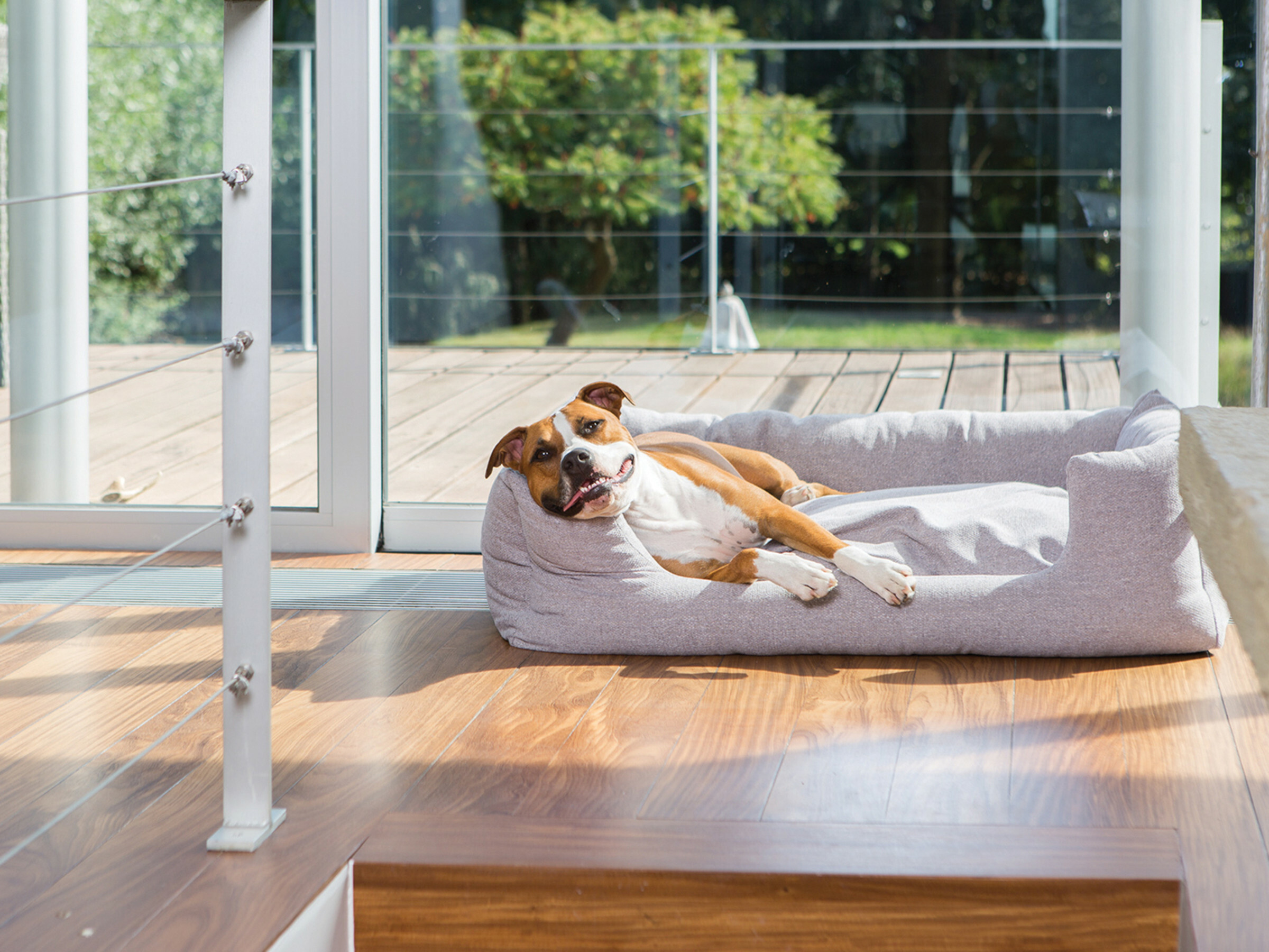 Pijl Verborgen toewijding Comfortabele Hondenmand Kopen | Bopets