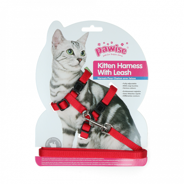 Pawise Kitten Harness Leash-Red/Blue