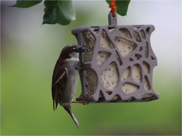 Vetblokhouder Anna gerecycleerd 13cm