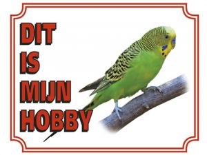 Waakborden vogels
