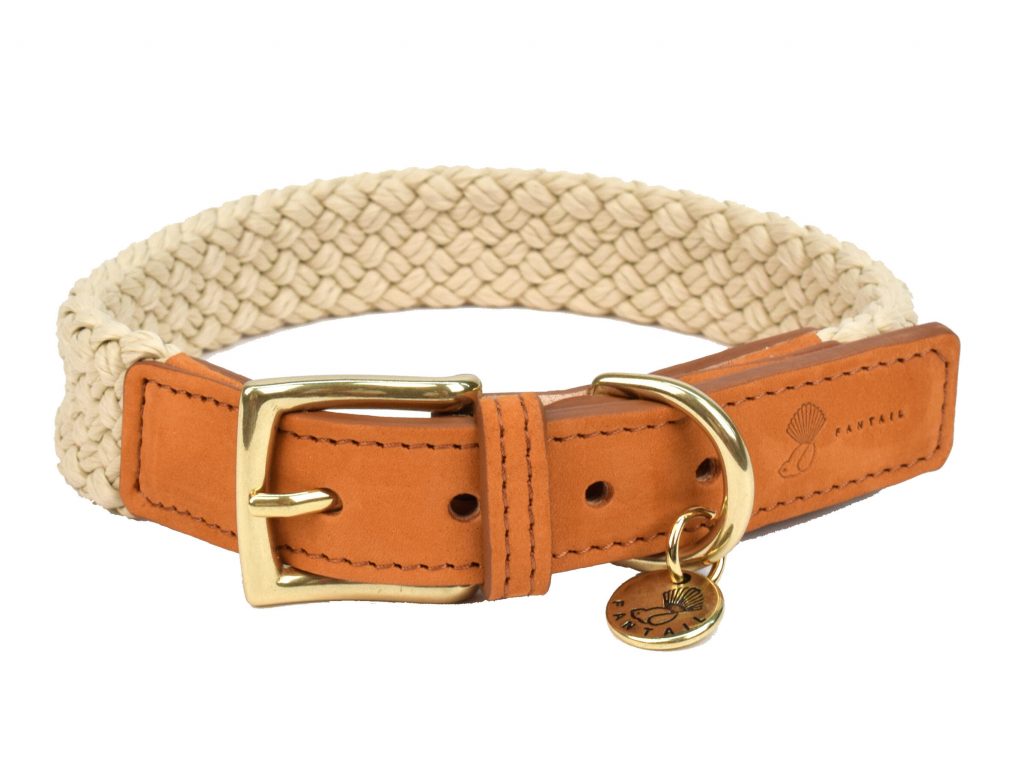 leder halsband met hondenriemen