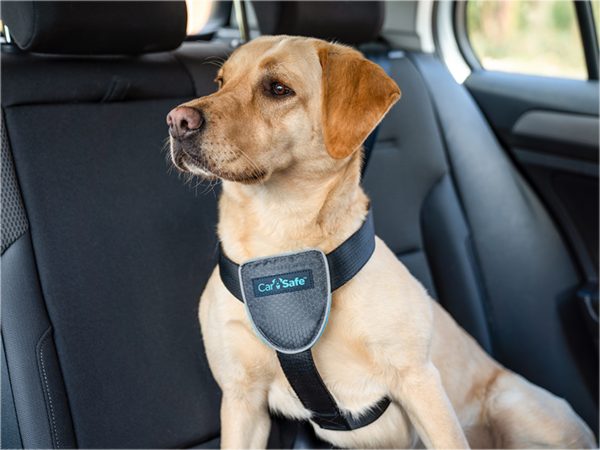 Harnas hond CarSafe Travel L