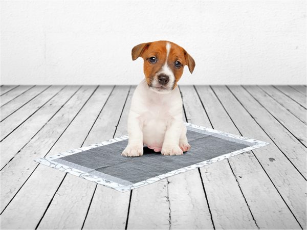 Puppy Trainer Carbon Pads M 45x30cm (50)