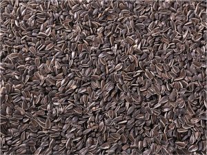 DIS 1/4 PAL Zonnebloempitten Mix 800g 81pc.