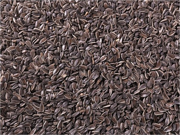 Zonnebloempitten Mix 8 kg