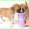 Reisfles Mini paars 0,44 L